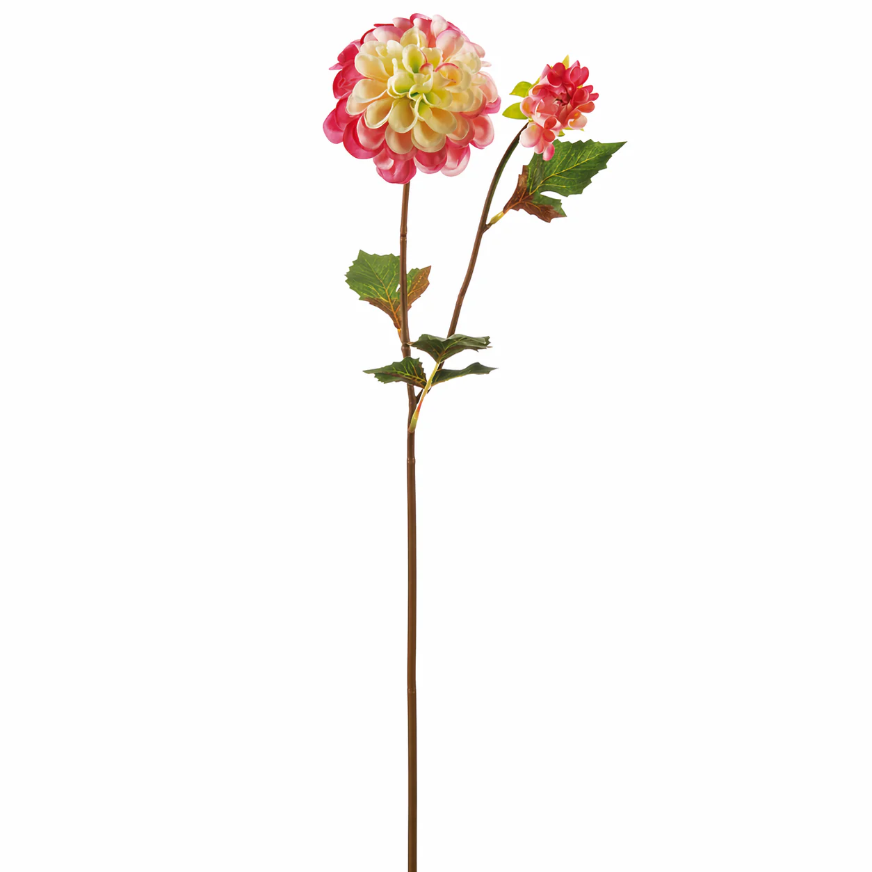 Miniature 1