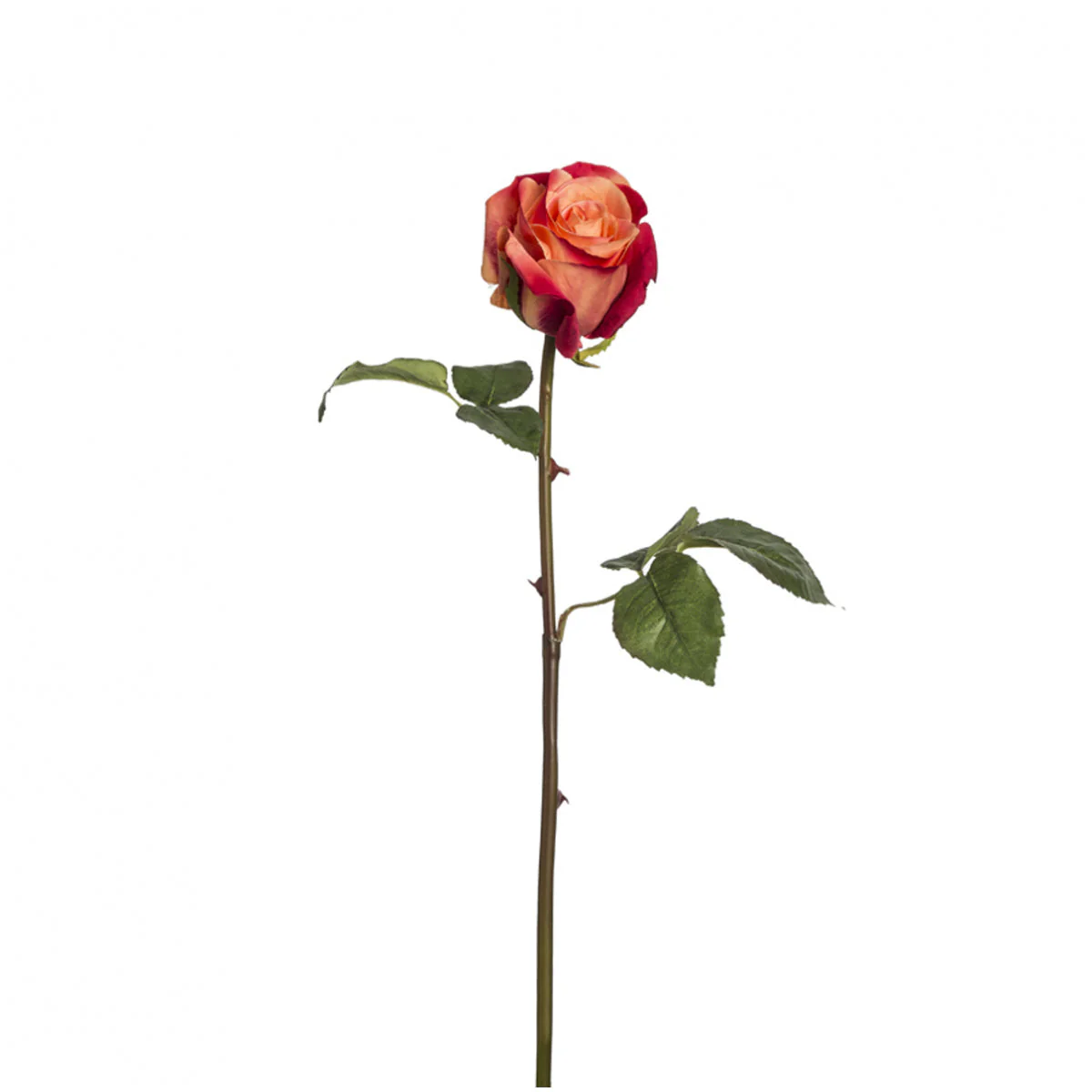 Miniature 1