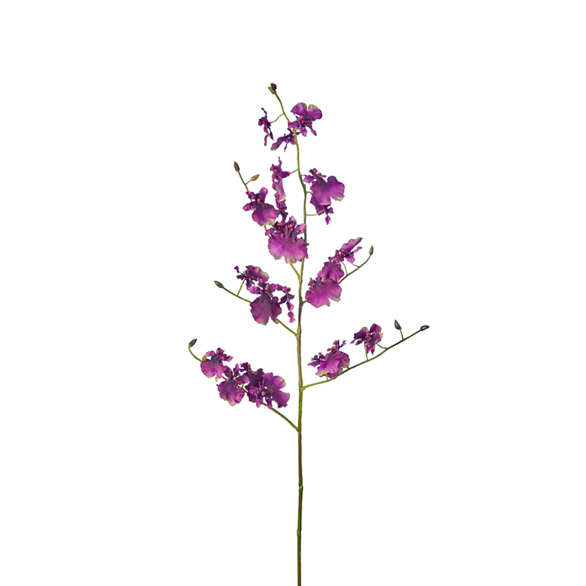 Miniature 1
