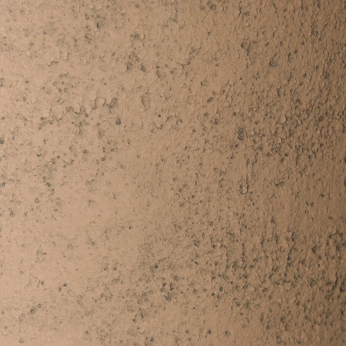 Image du produit 19