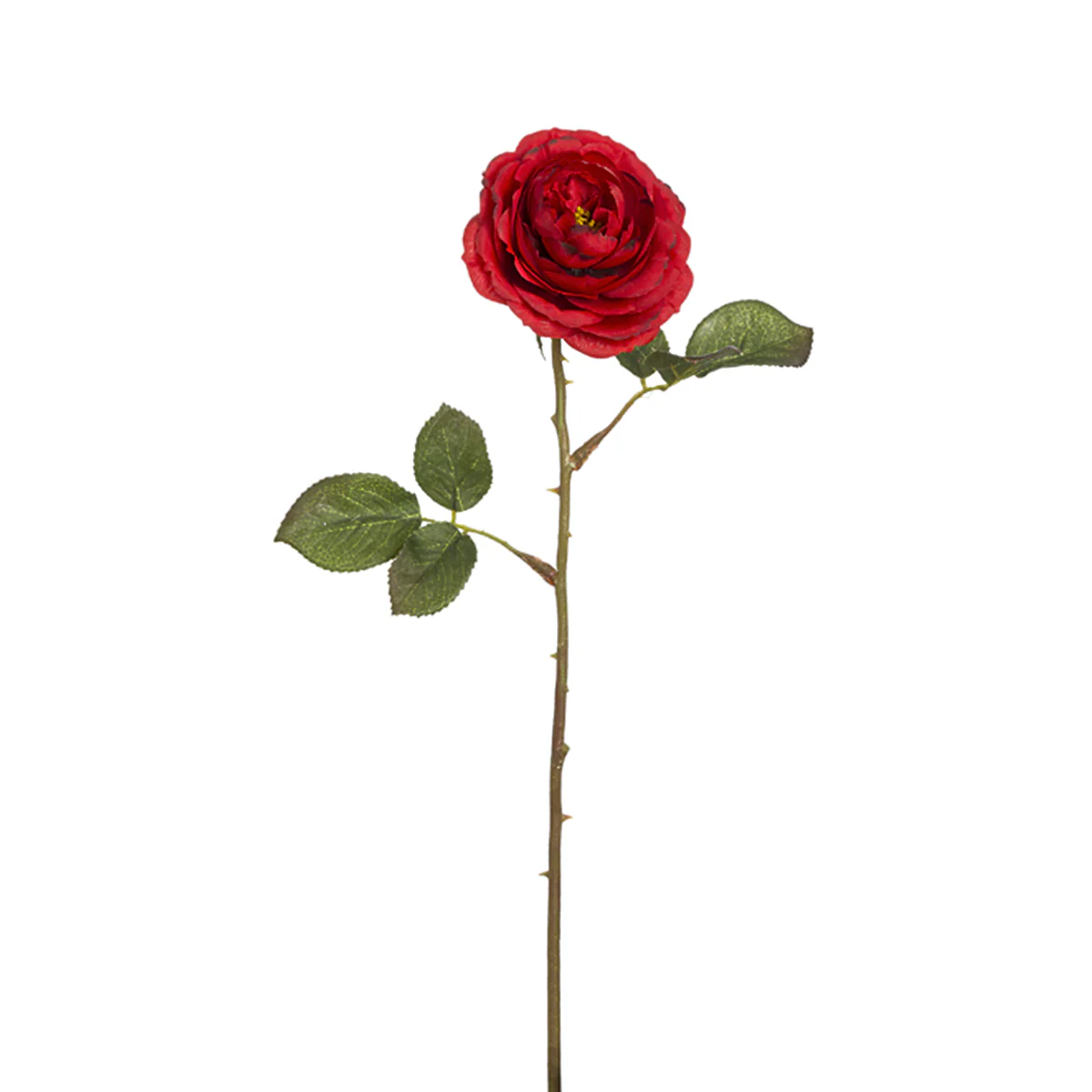Miniature 1