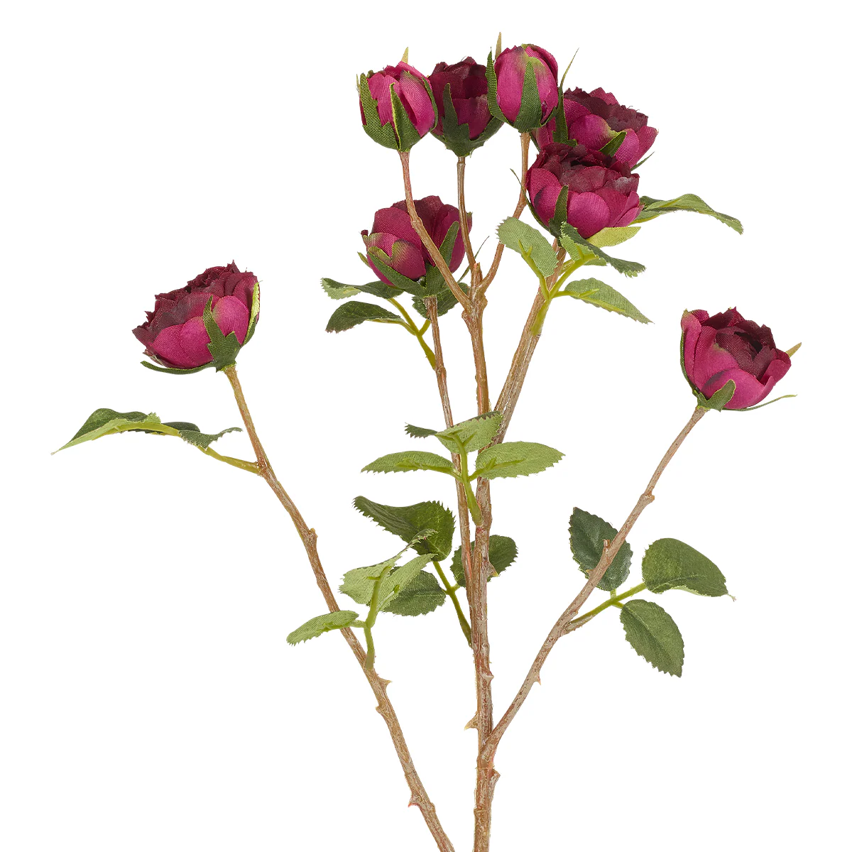 Miniature 2