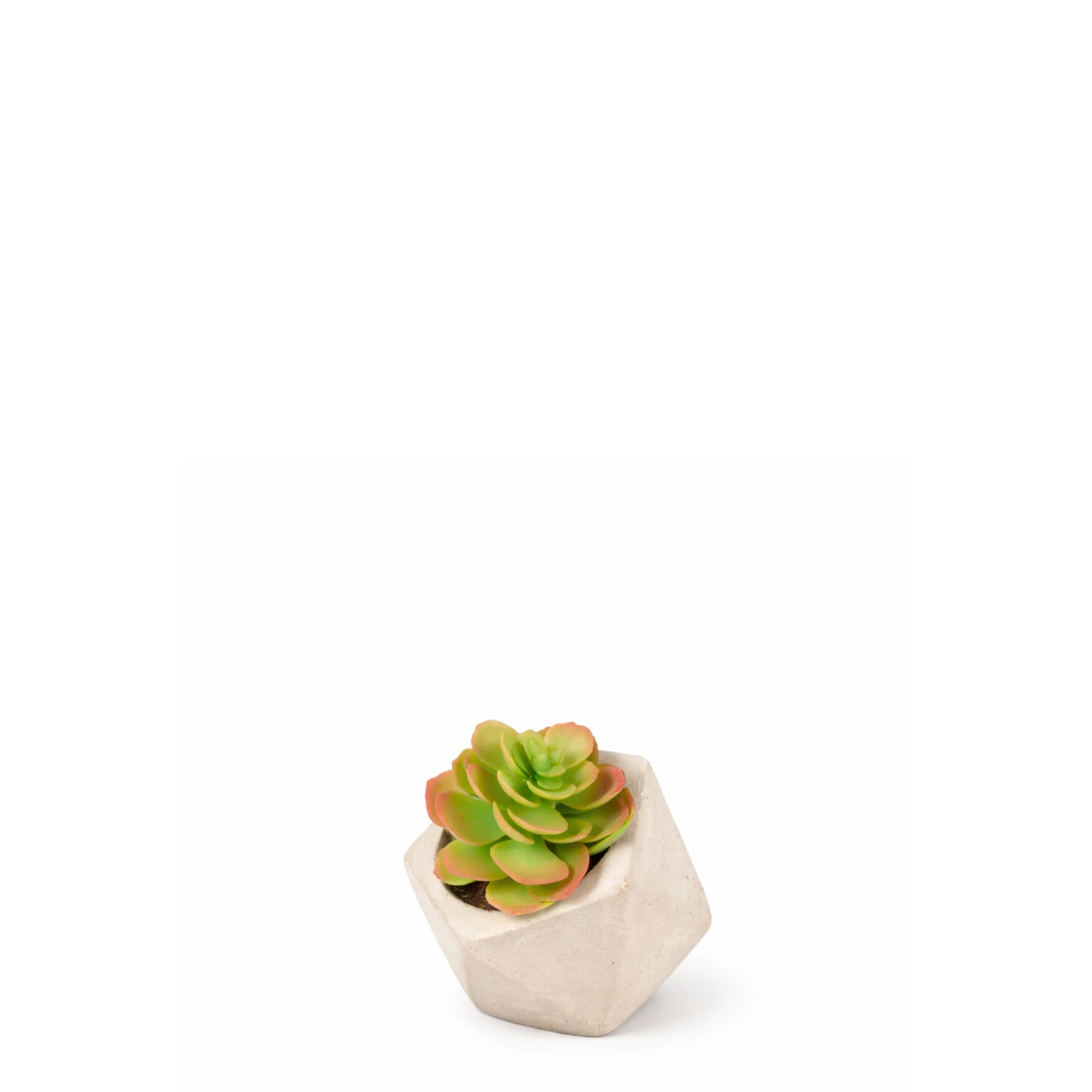 Miniature 1