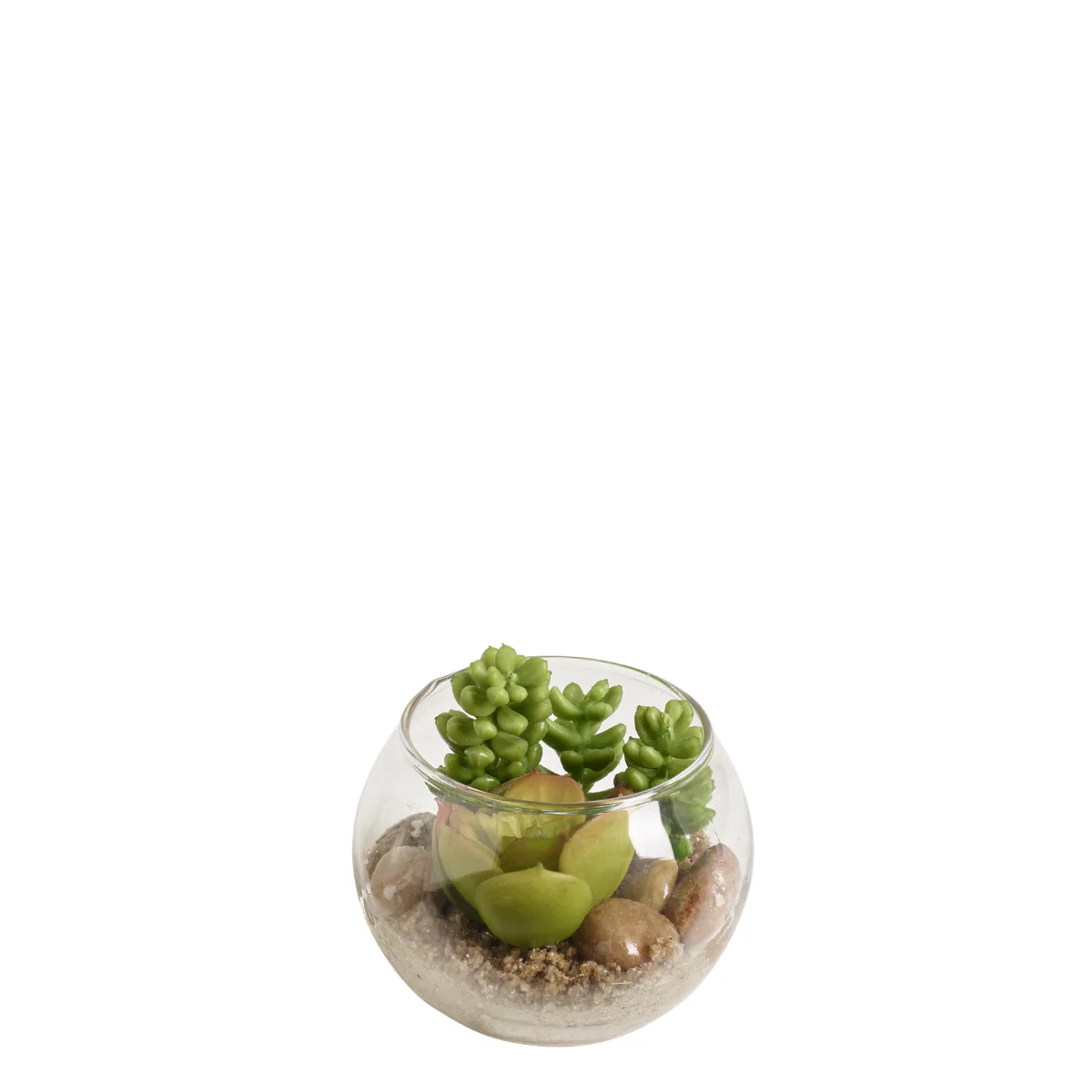 Miniature 1