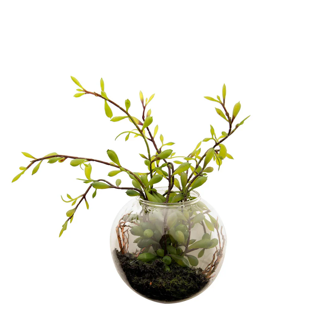Miniature 1