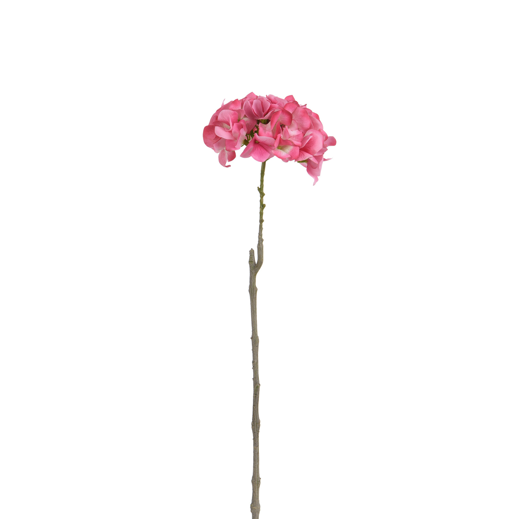 Image du produit 14