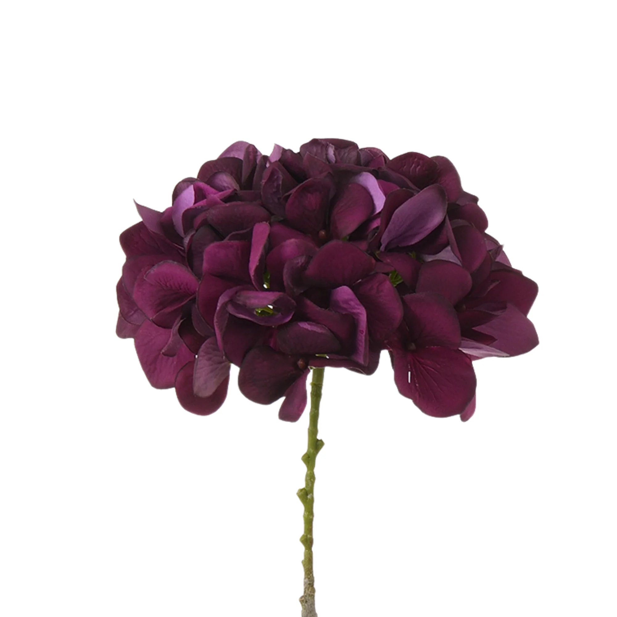 Image du produit 15