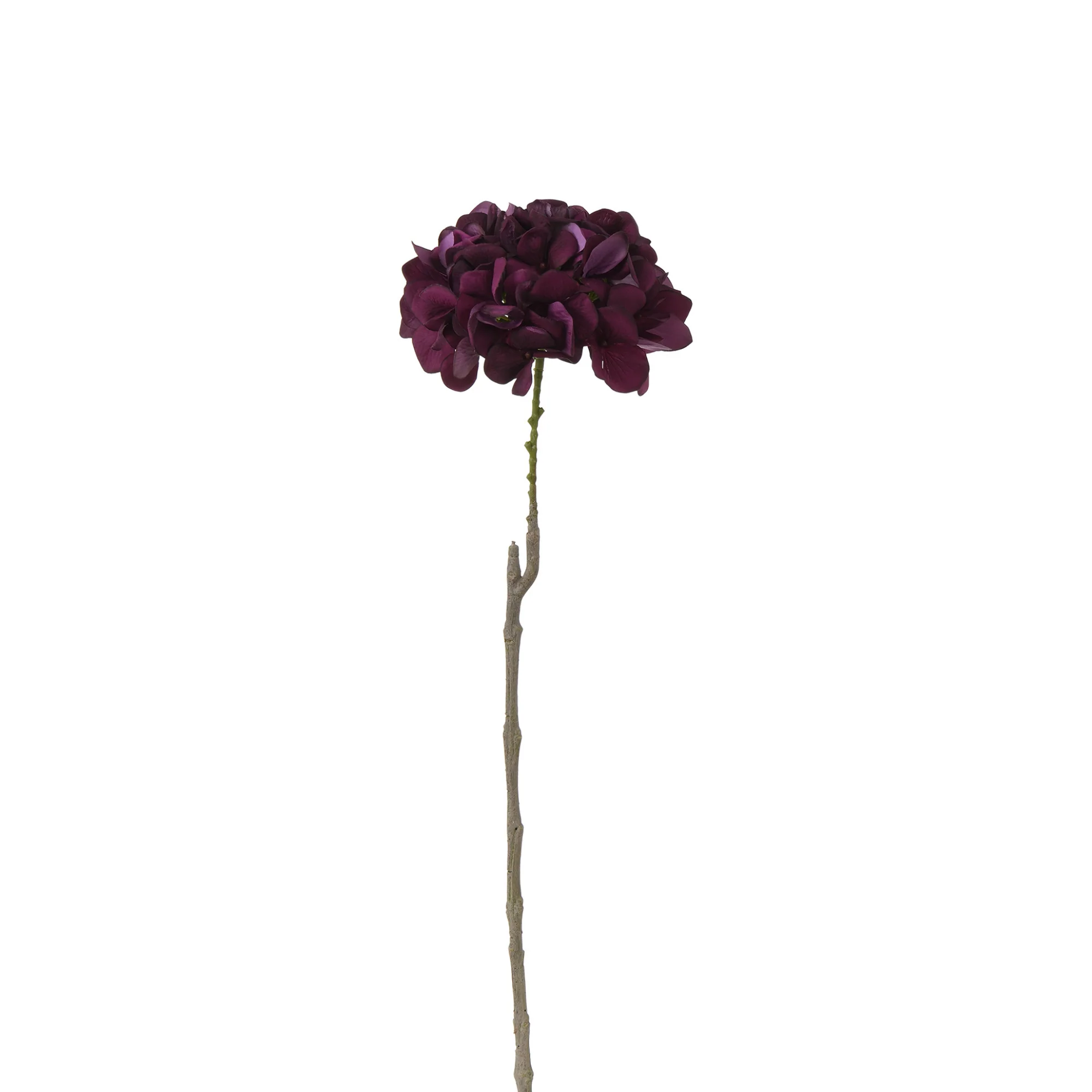 Image du produit 17