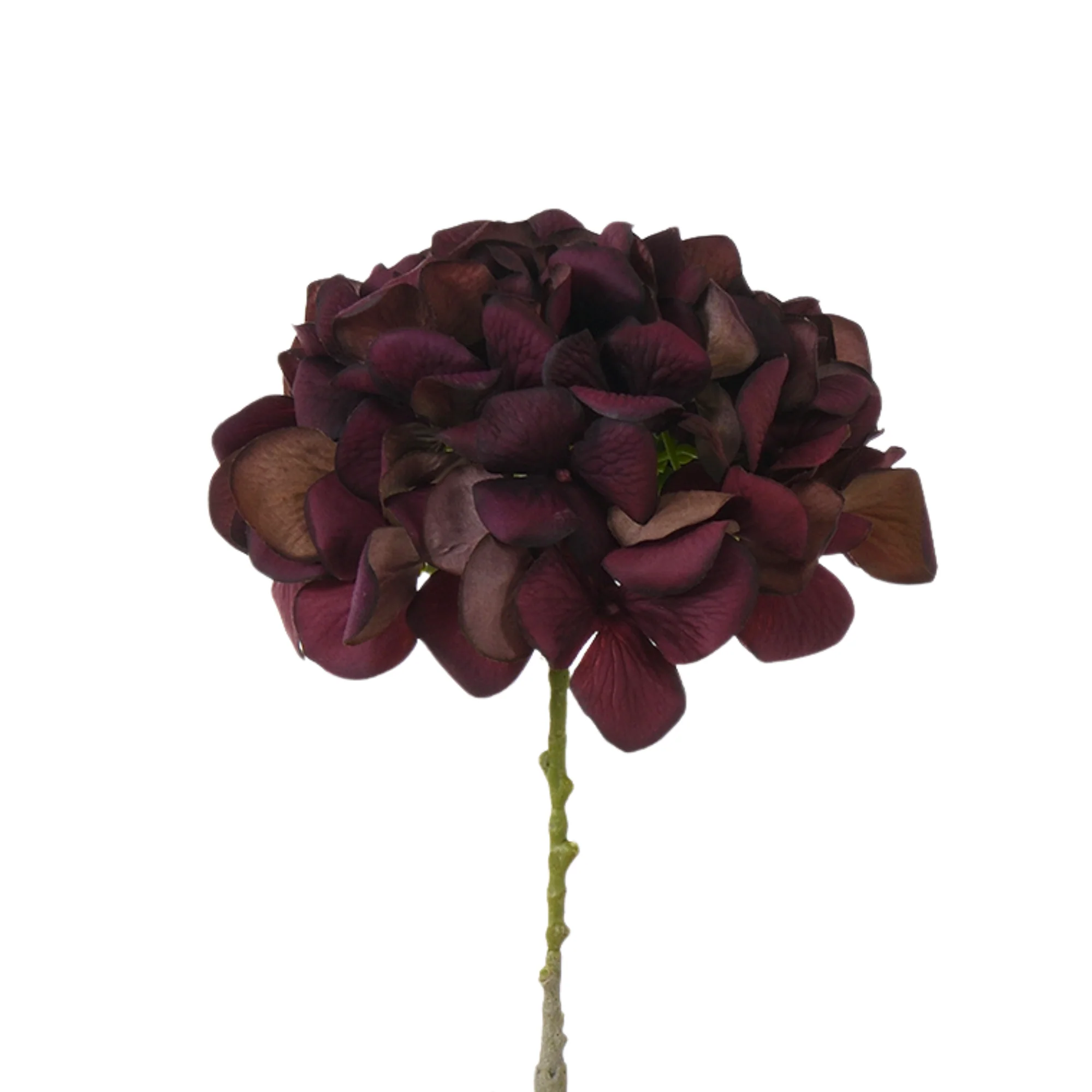 Image du produit 18
