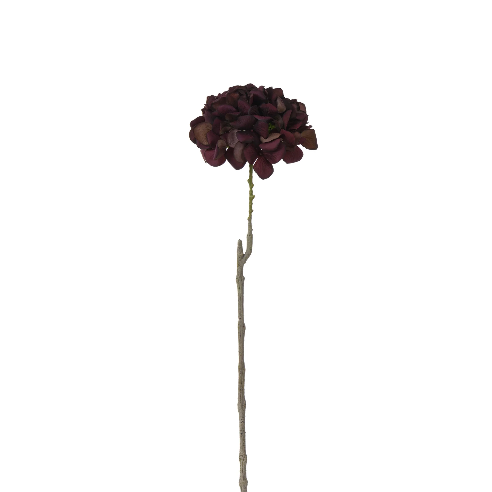 Image du produit 20