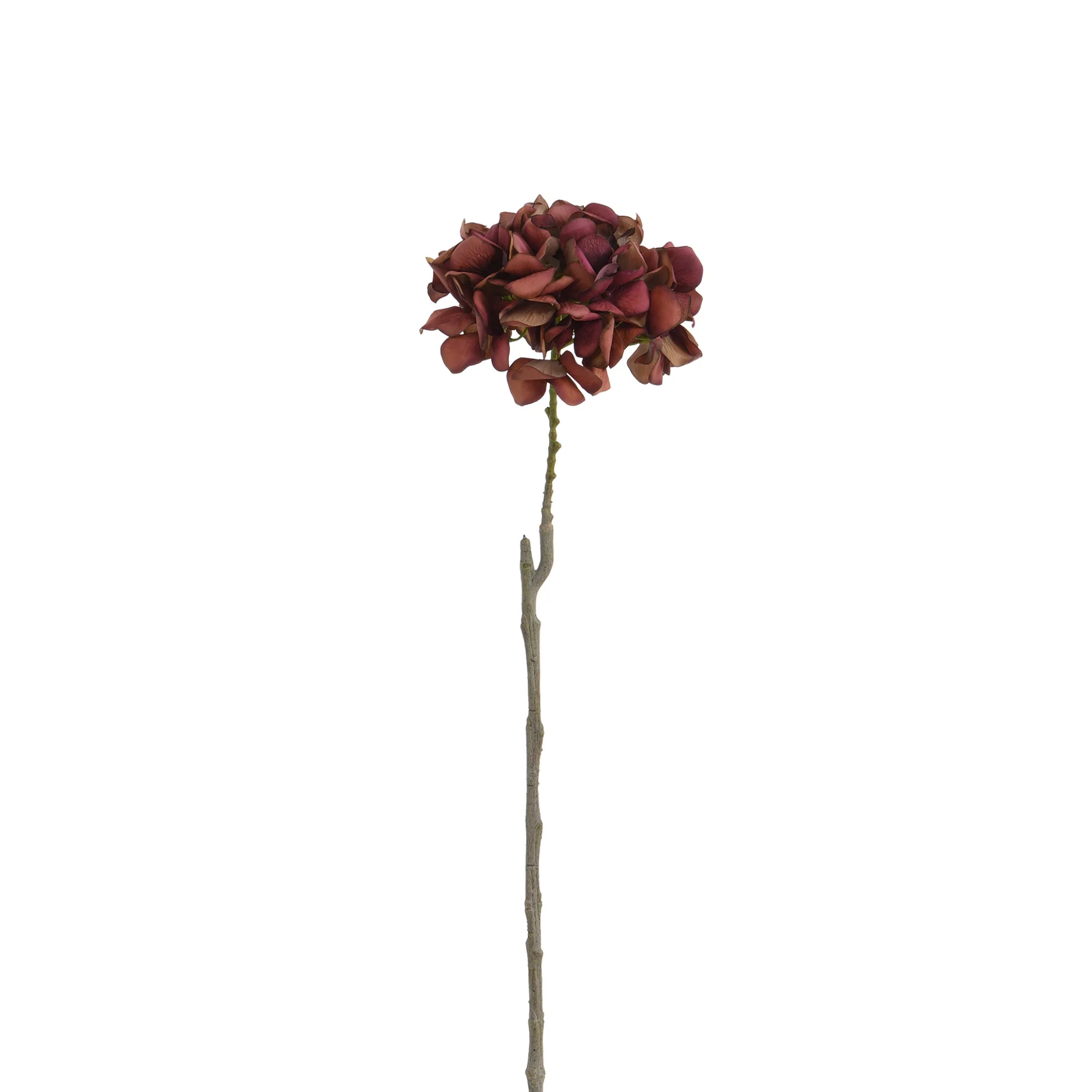 Image du produit 23