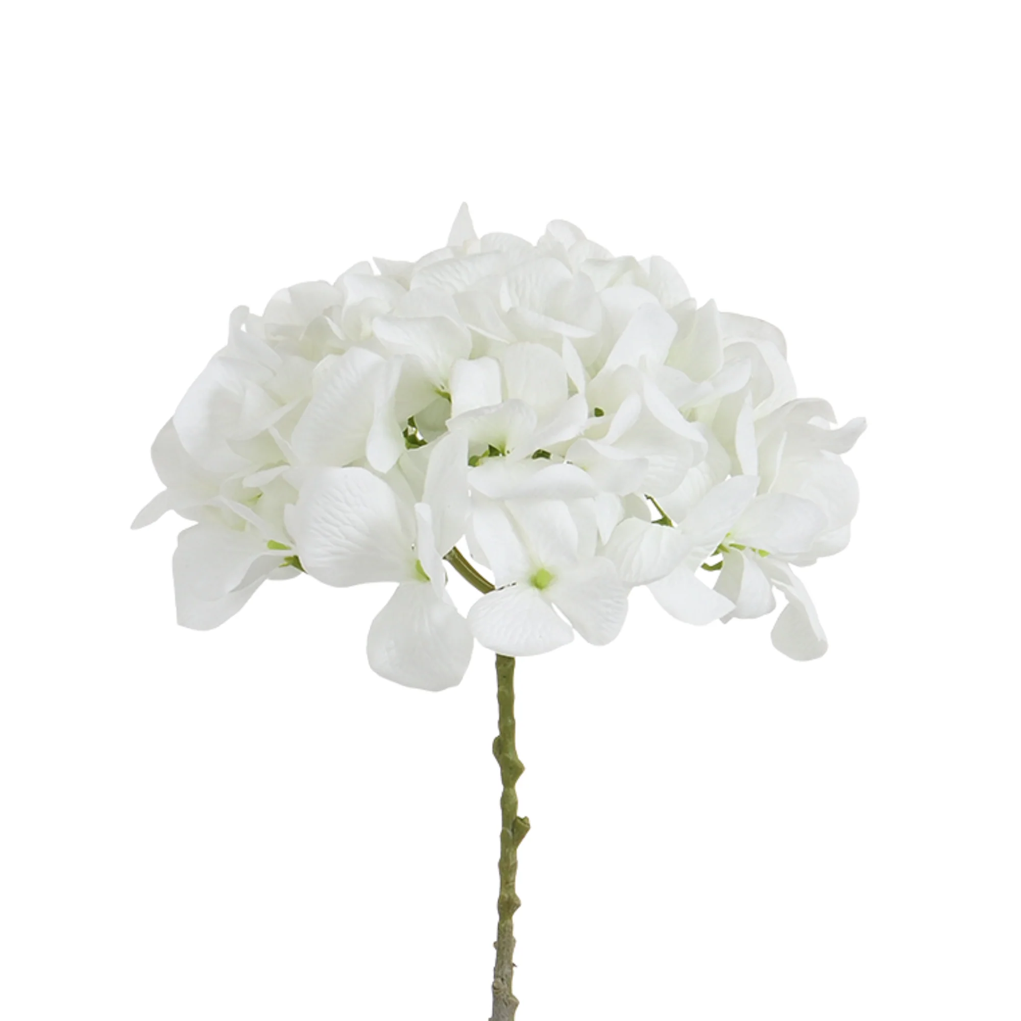 Image du produit 24