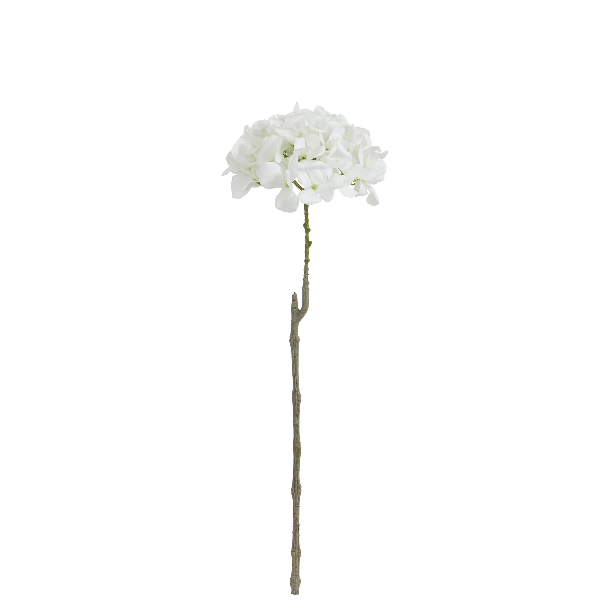 Image du produit 26