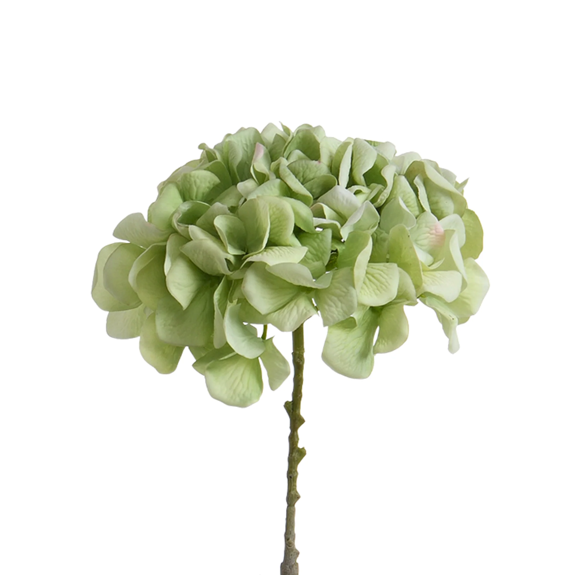 Image du produit 27