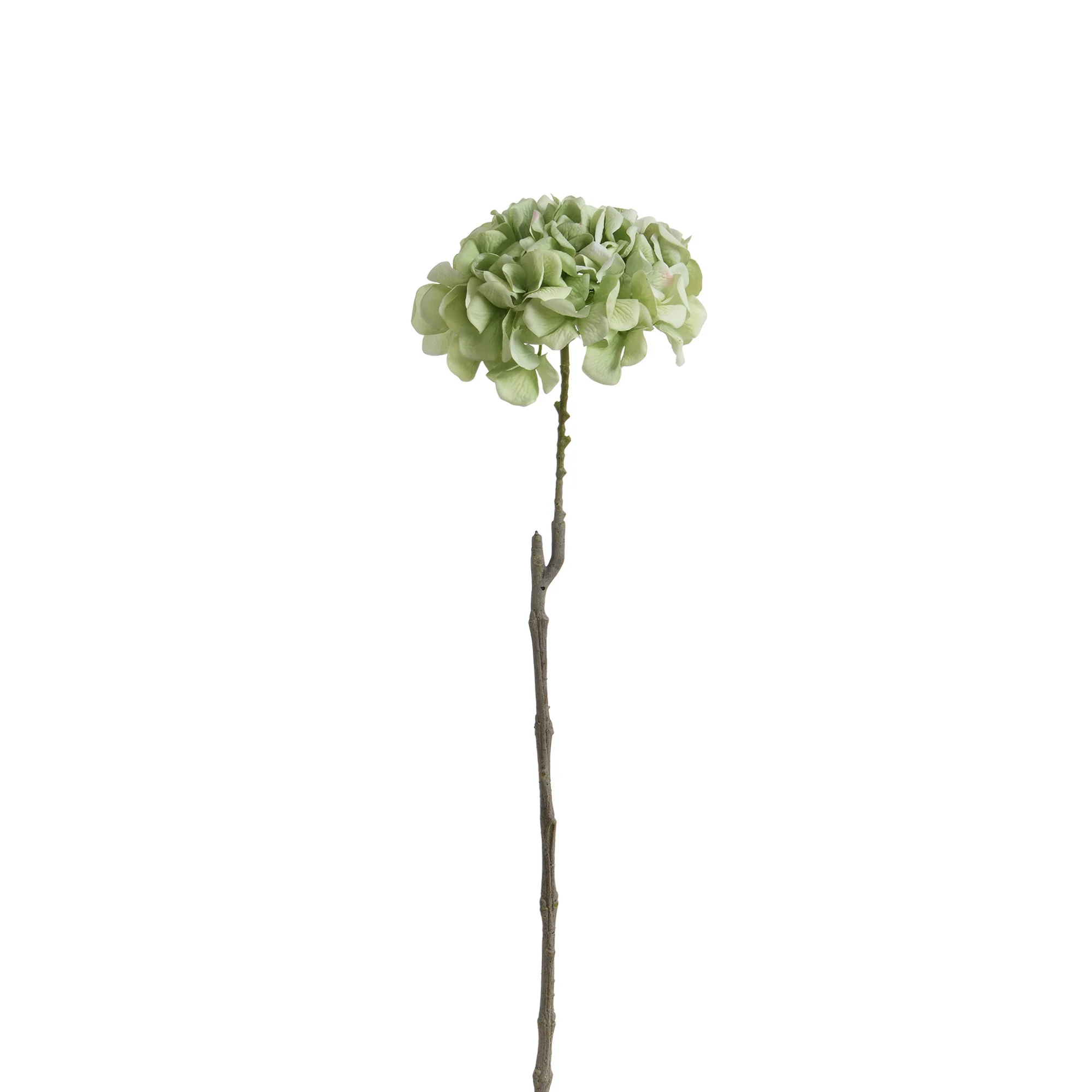 Image du produit 29