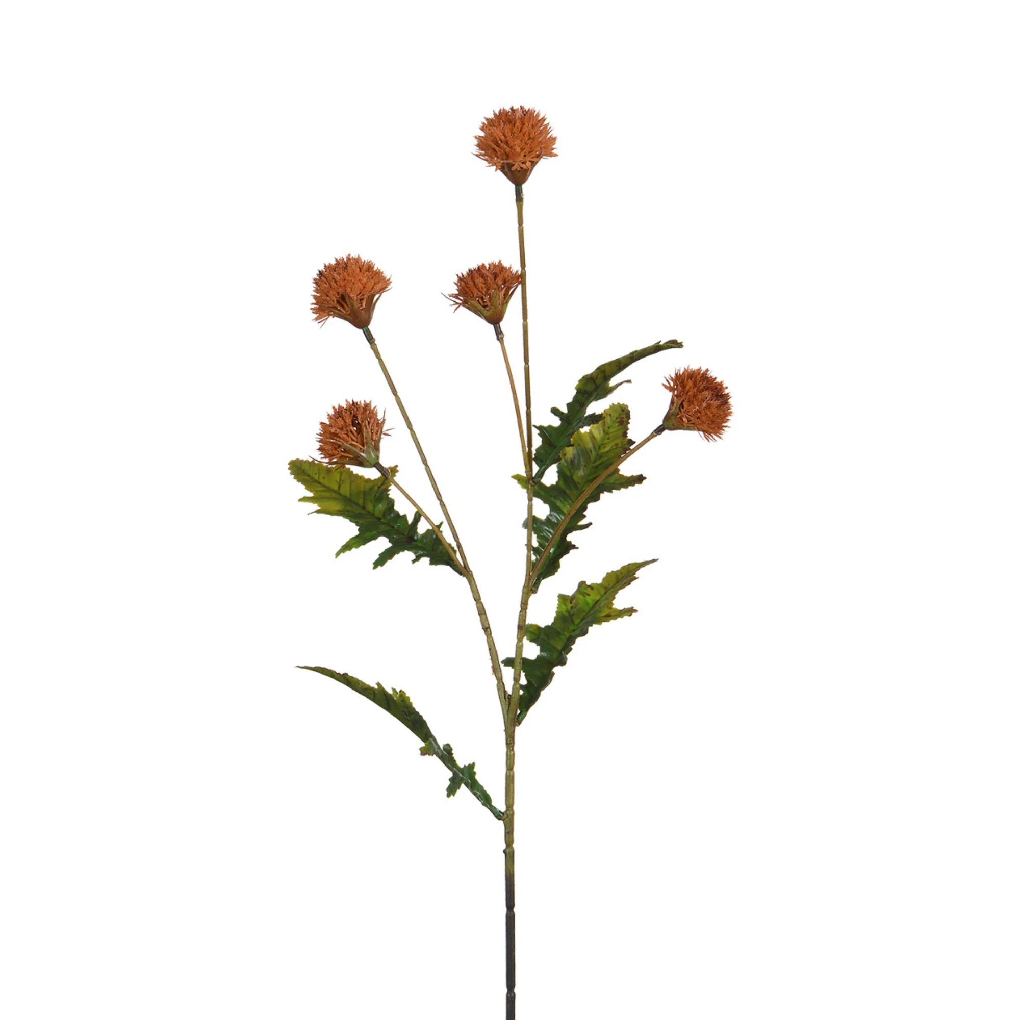 Image du produit 12