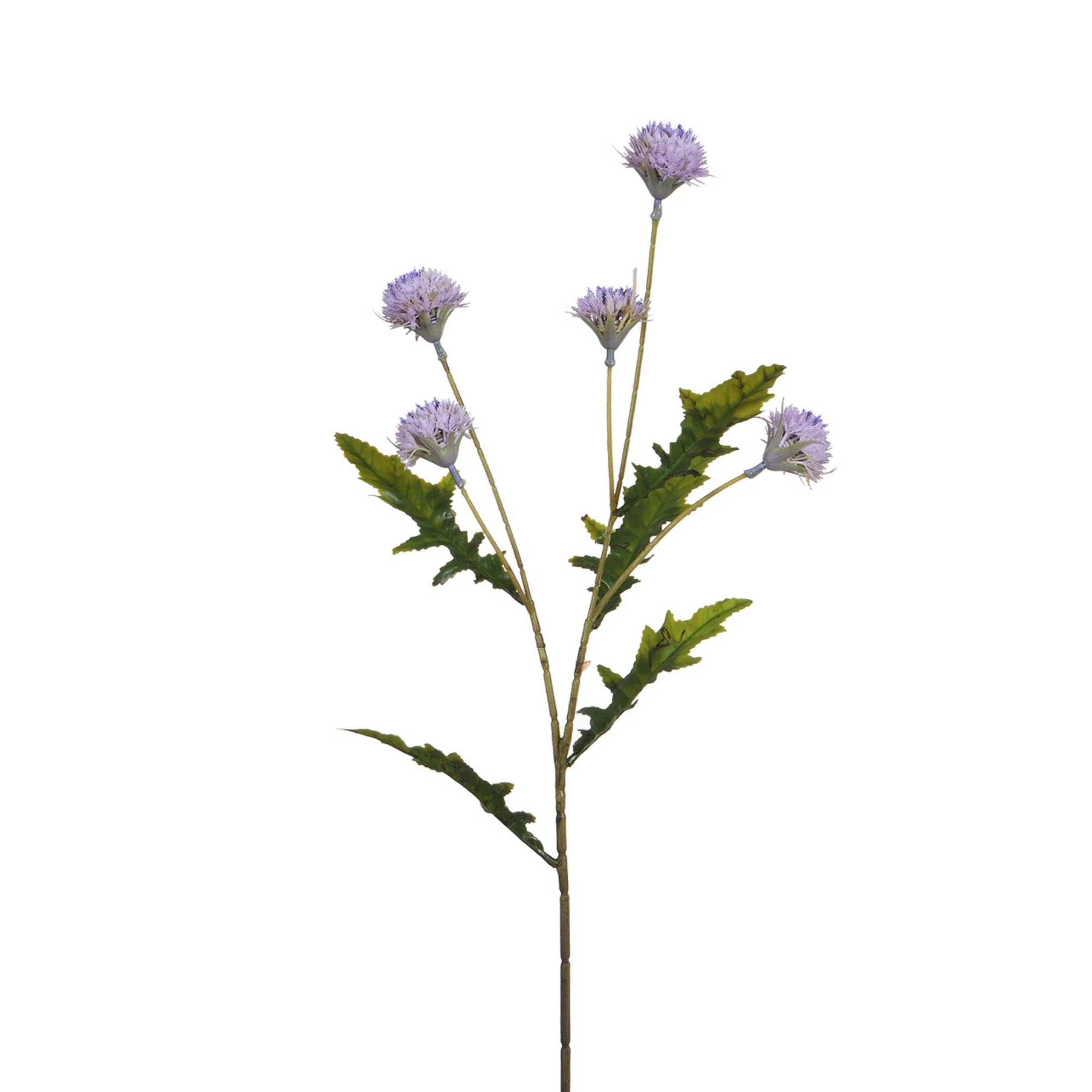 Image du produit 15