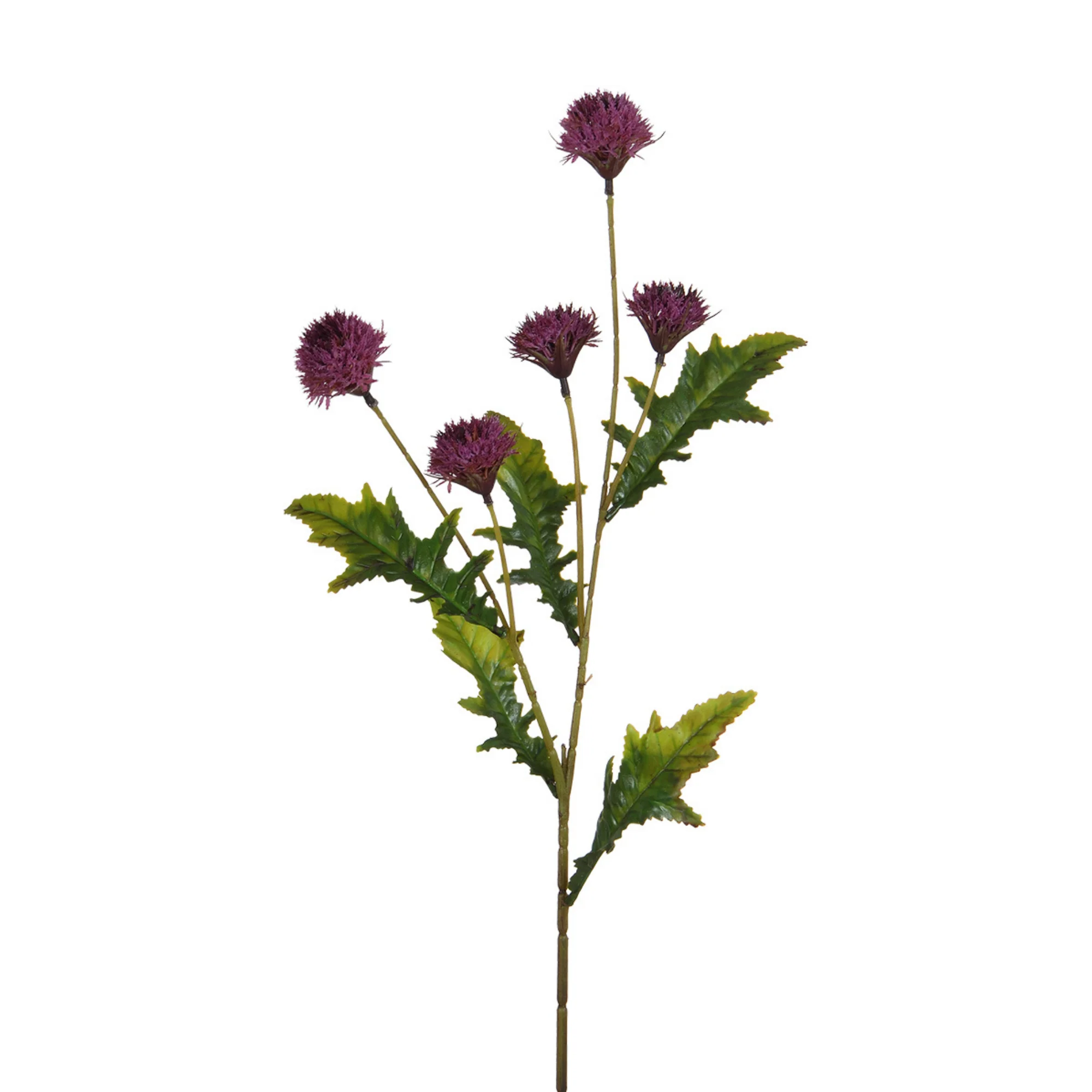 Image du produit 9