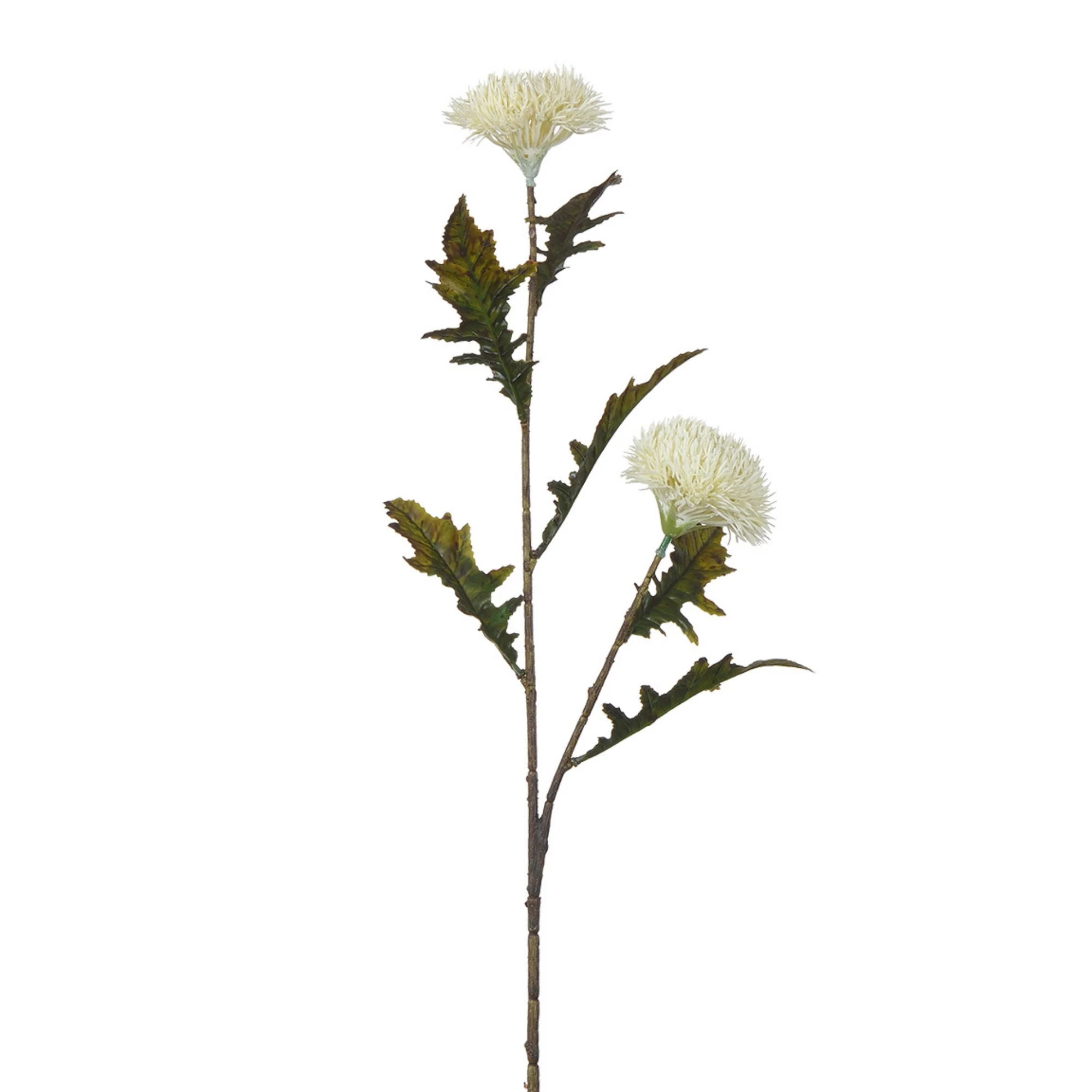 Miniature 1