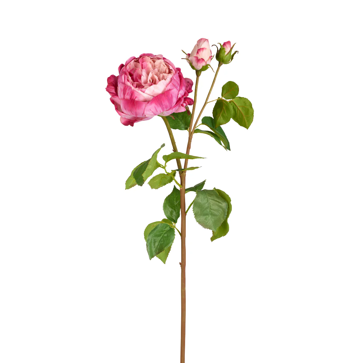 Image du produit 11