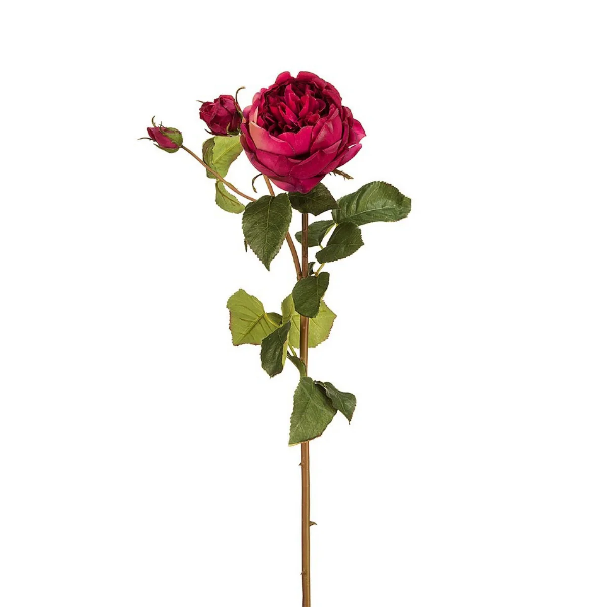 Image du produit 20