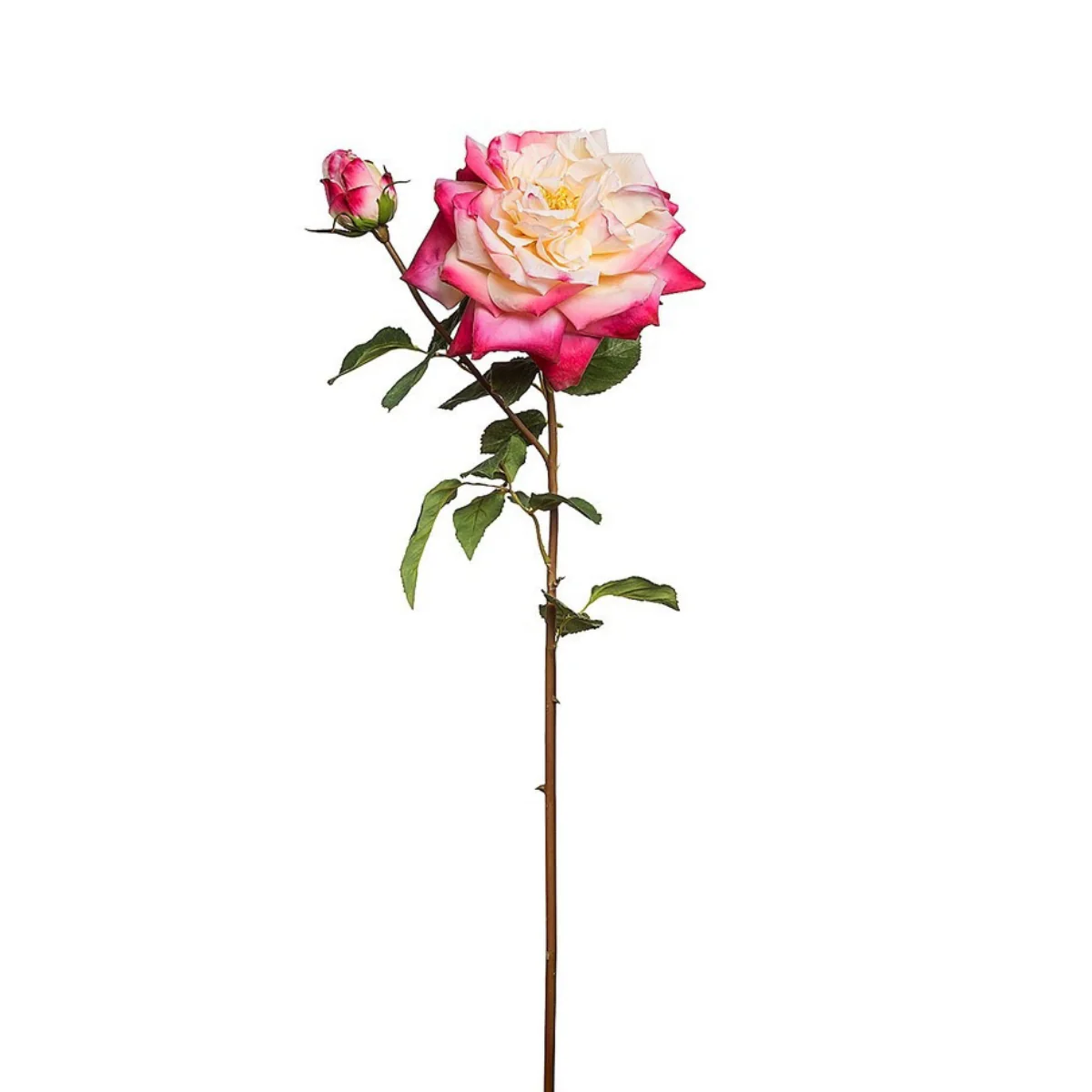 Image du produit 10