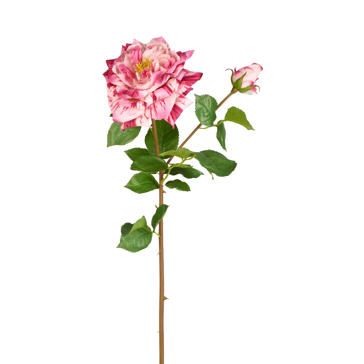 Image du produit 12