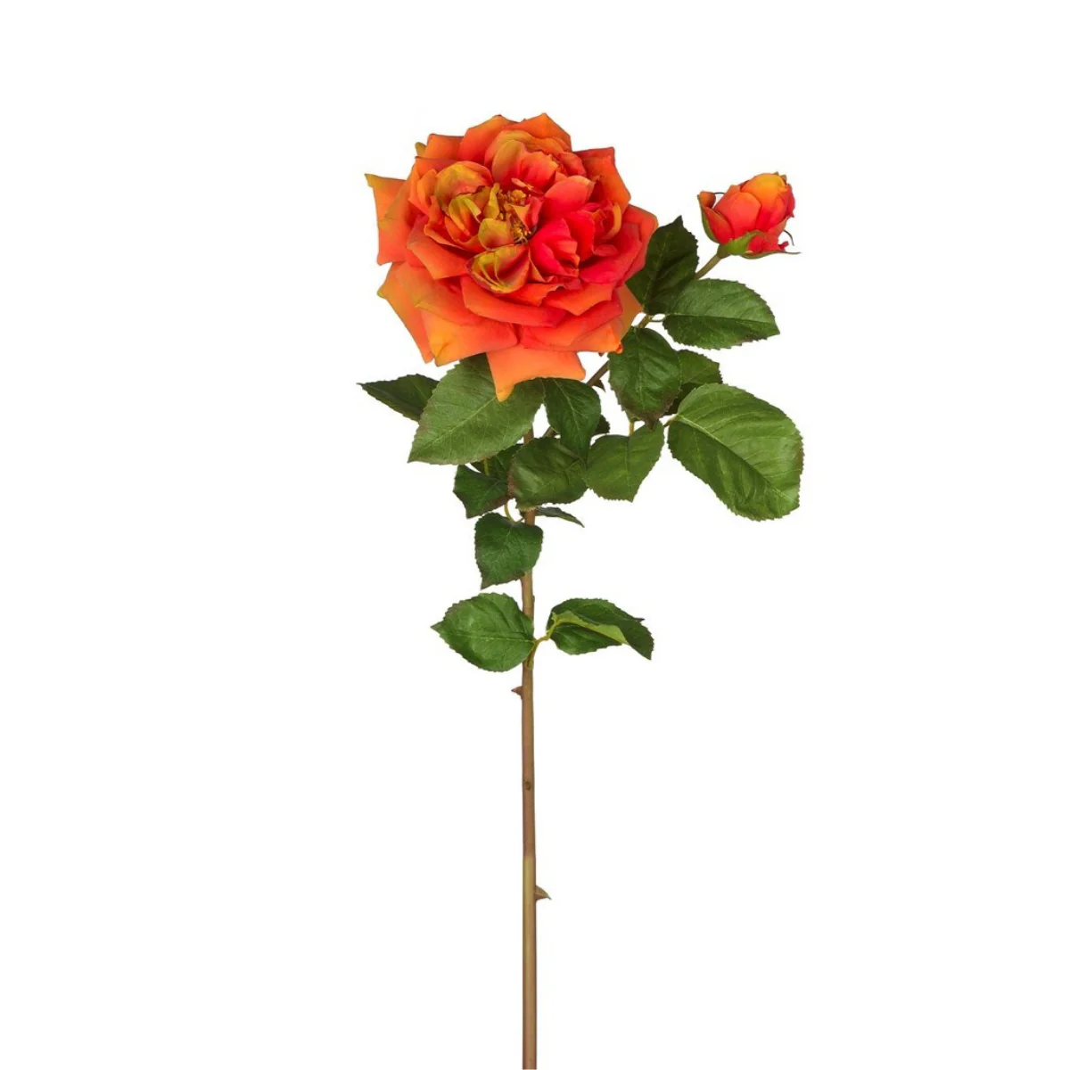 Image du produit 14
