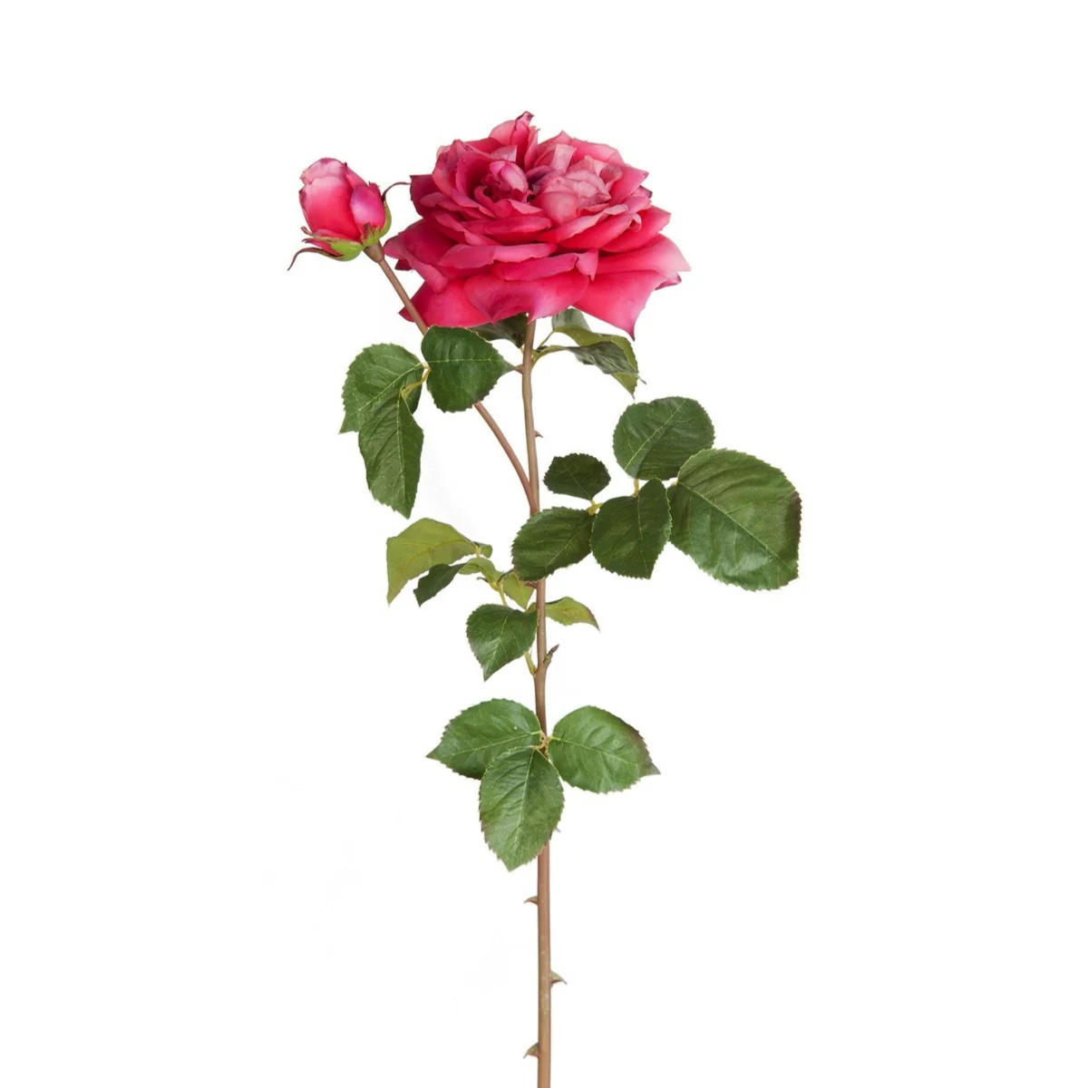 Image du produit 16