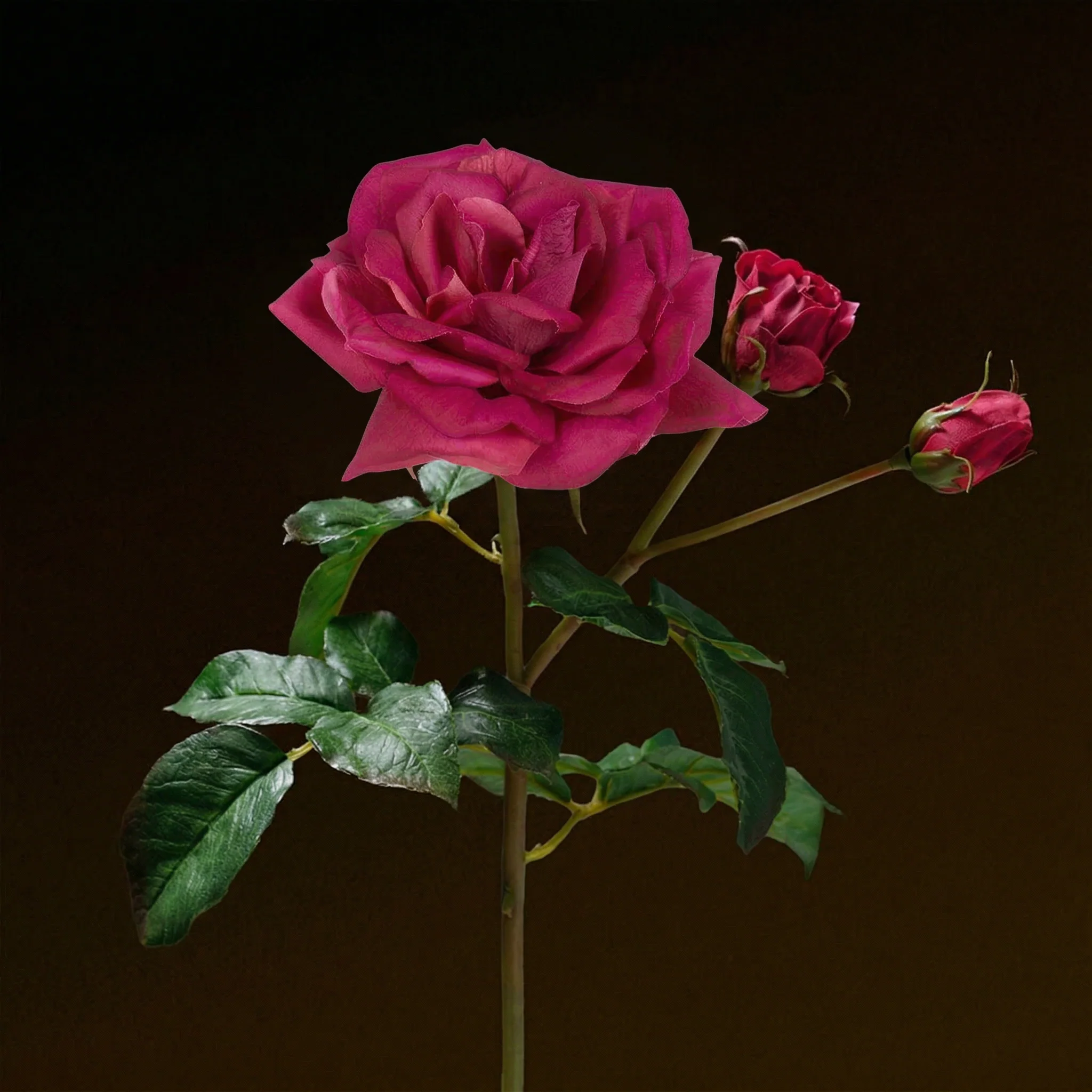 Miniature 2
