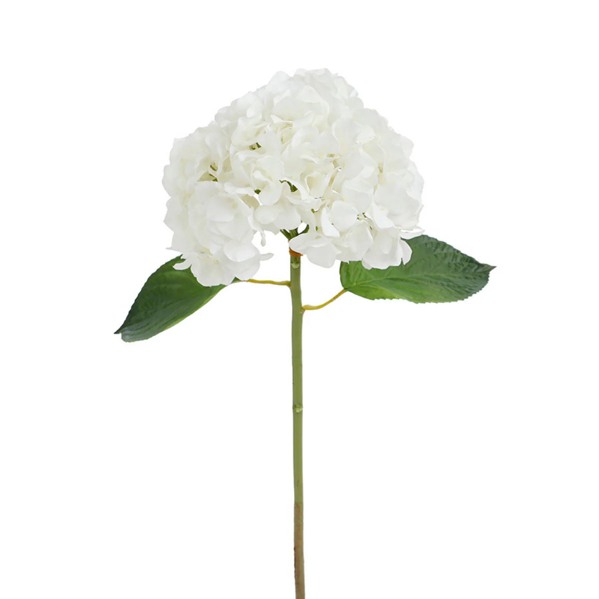 Image du produit 20