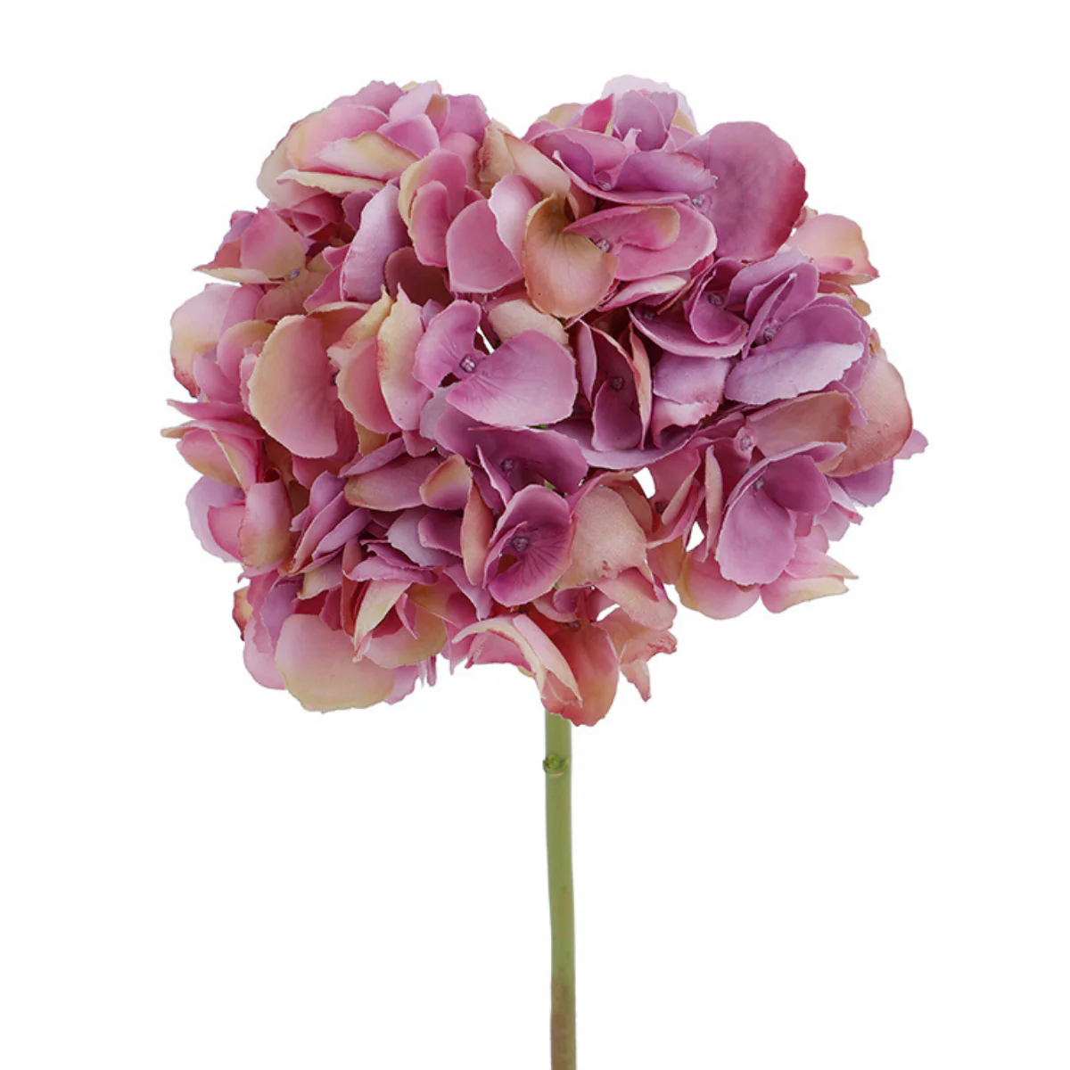 Image du produit 13